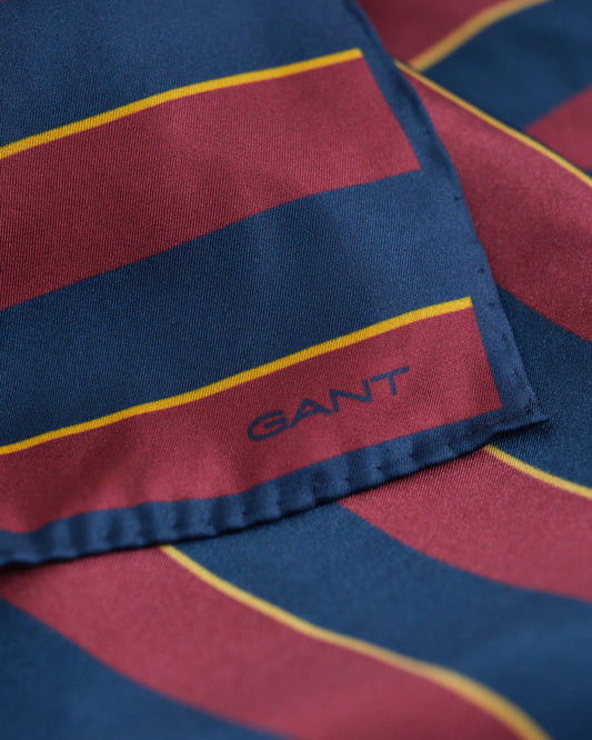 Pochette de costume rayée