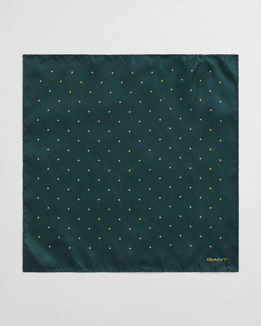 Pochette de costume à pois